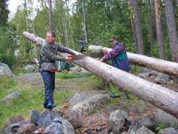 Заготовка дров для нодьи