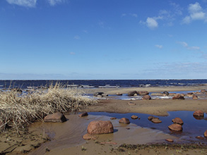 Песчаный пляж обычно залит водой
